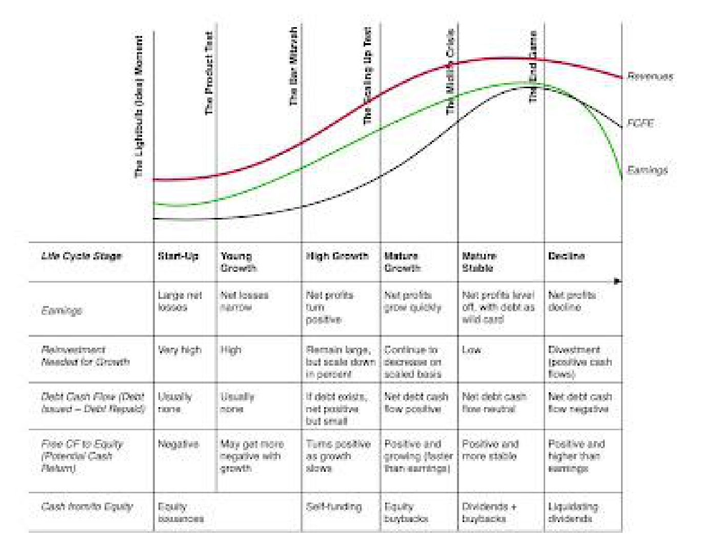 Life cycle stage matrix with columns "Start-Up", "Young Growth", "High Growth", "Mature Growth", "Mature Stable", "Decline" and rows for Earnings, Reinvestment, Free CF to Equity and Cash from/to Equity, plotted against Revenues, FCFE and Earnings curves