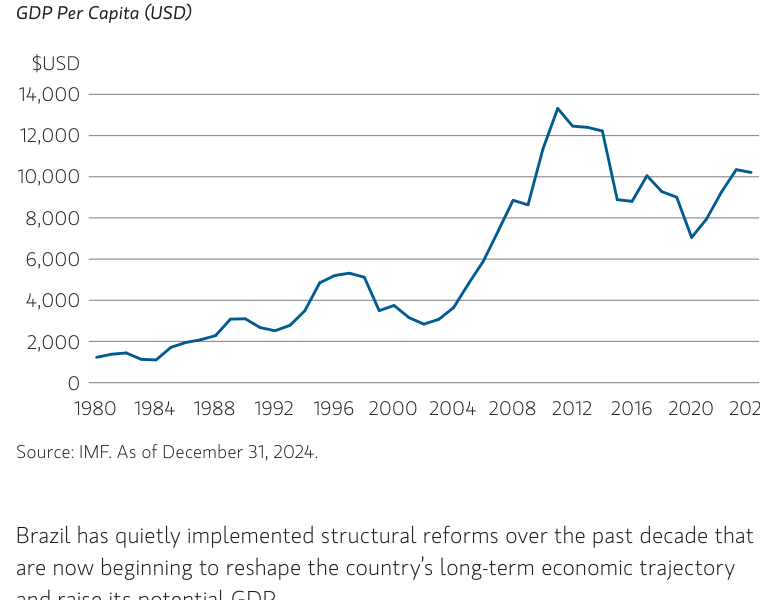 Subtítulo «GDP Per Capita (USD)». Renta per cápita de Brasil en dólares entre 1980 y 2024. La línea parte de unos 1.200 dólares a comienzos de los ochenta, sube de forma irregular hasta los 5.000 hacia 1996-1997, retrocede y vuelve a despegar a partir de 2004 hasta marcar su máximo cerca de 13.000 dólares hacia 2011; después cae hasta unos 7.000 alrededor de 2020 y se recupera hacia los 10.000 al cierre de la serie. Fuente: FMI, a 31 de diciembre de 2024.